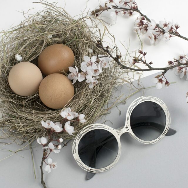 glasses with blossom and nest in background