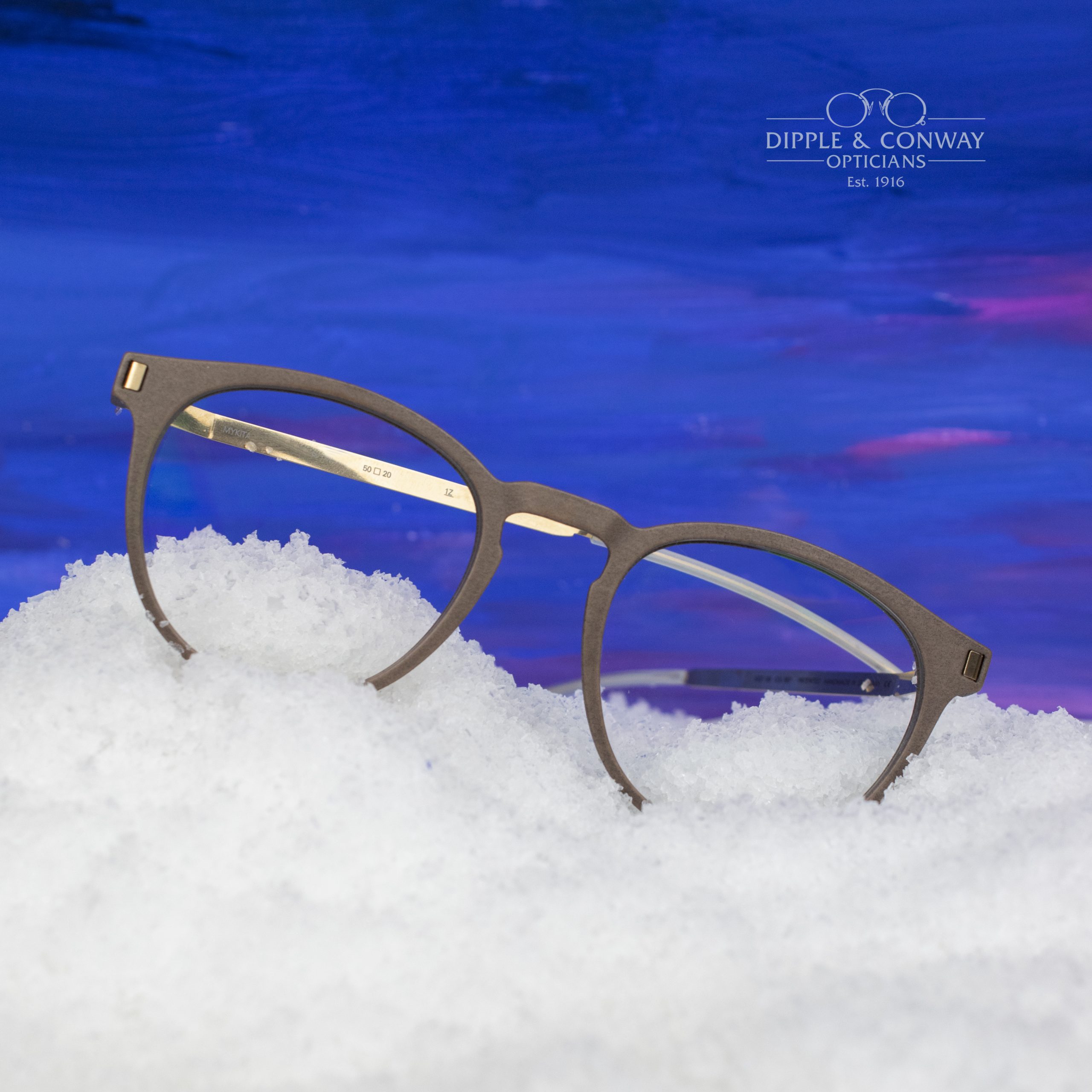 Brown frames in snow